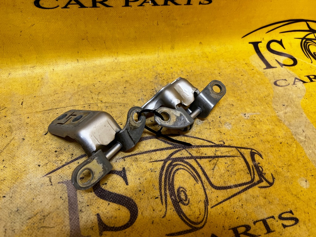 фото №1, Петли дверь левый задняя lexus rx 450h iii 3 al10