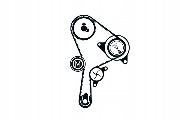 фото №10, Грм+ ремінь + насос wody nissan interstar primas