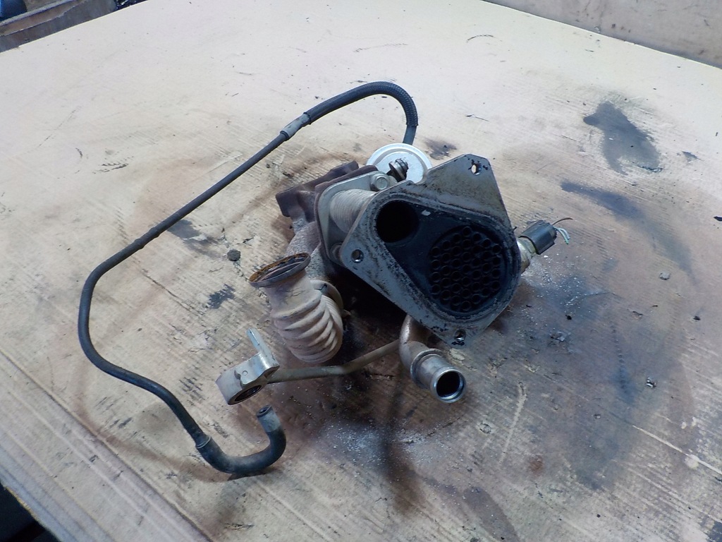 фото №4, Радиатор выхлопных газов lodgy 12r. 147355713r