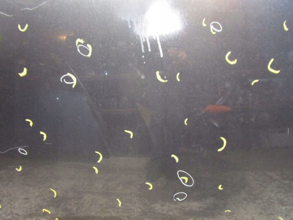 фото №4, Капот перед citroen berlingo partner 08-