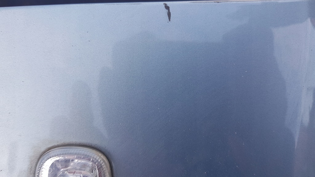 фото №13, Audi a6 c5 b łotnik правий перед ly7r