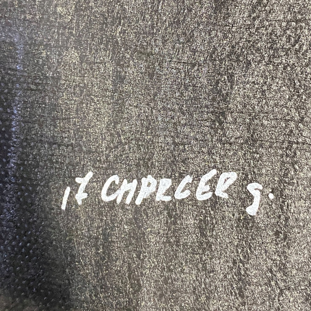 фото №8, Dodge charger 2017 полиця задня багажника