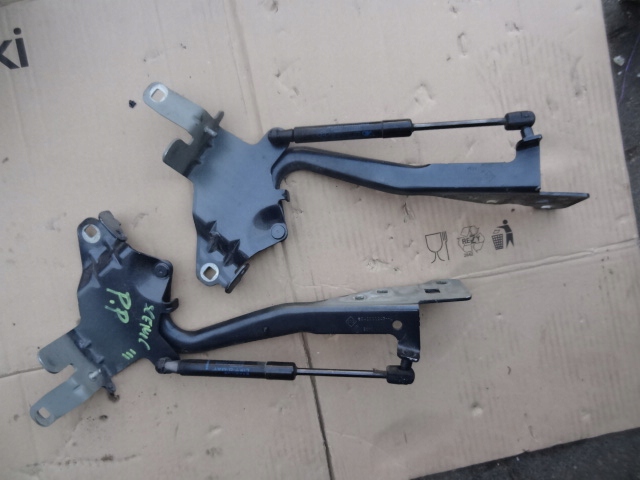 фото №1, Петля петли амортизаторы капот renault scenic iii
