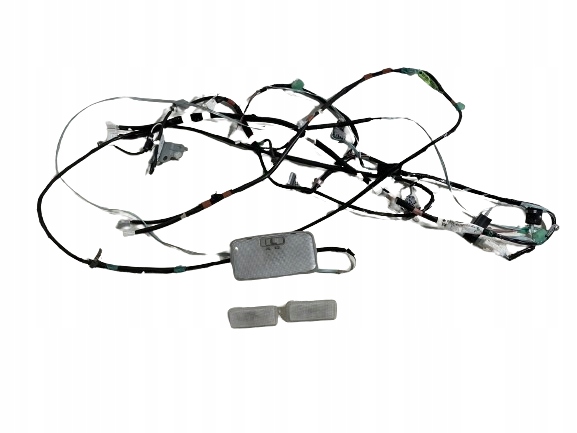 фото №1, Prius plus + електропроводка джгут ліхтарі стельовий панорама комплект