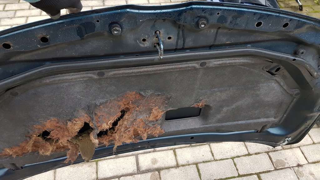 фото №11, Капот mazda 5