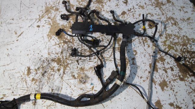 фото №1, Джгут електропроводка двигуна iveco