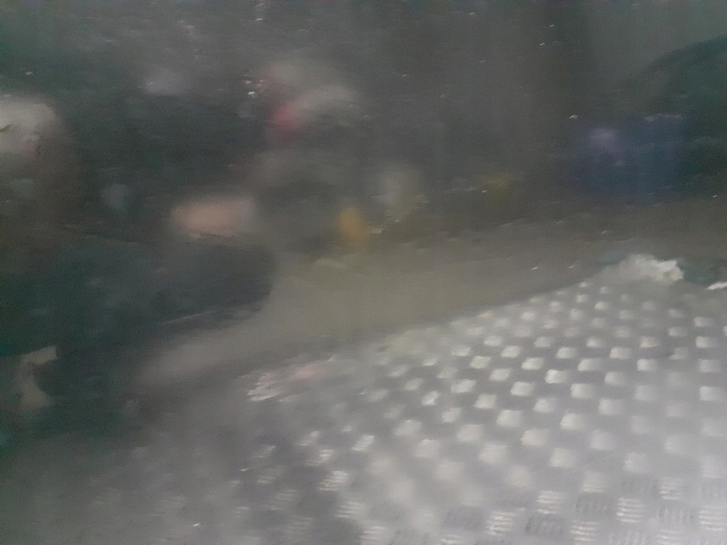 фото №7, Двері правий перед citroen c2 3d exyb