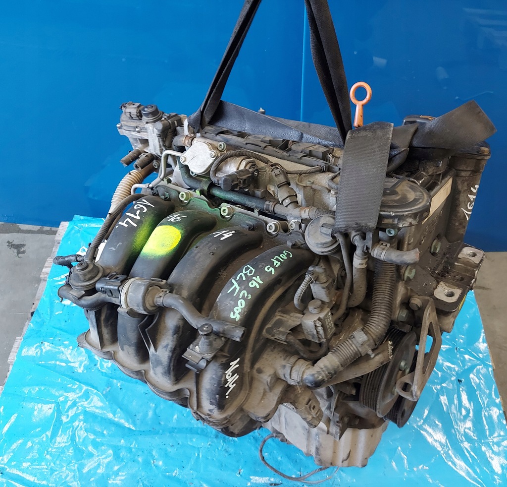 фото №10, Двигатель golf v octavia ii 1.6 16v blf 168.000 km