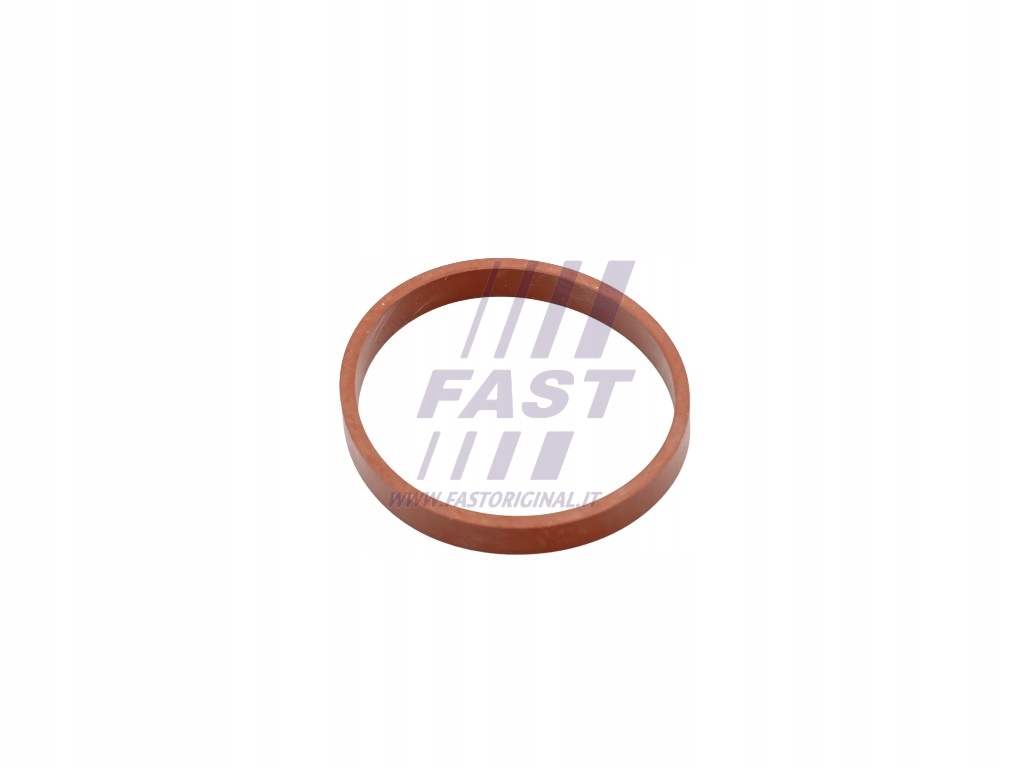 фото №10, Fast ft49418 прокладка, колектор впускний