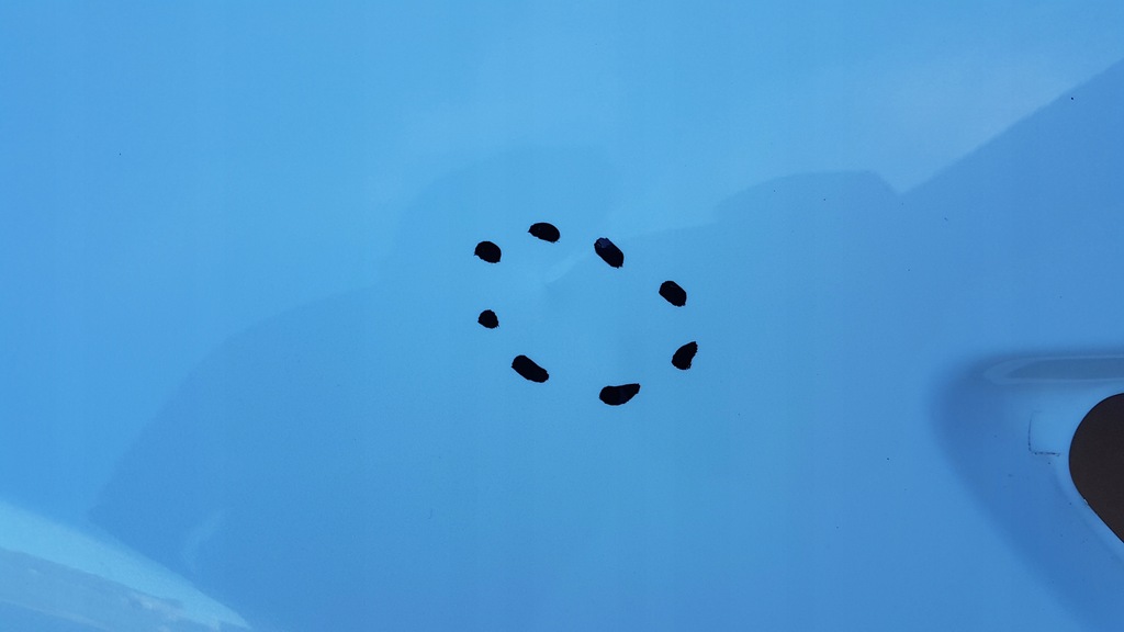 фото №9, Крыло перед левый tesla model 3 17-