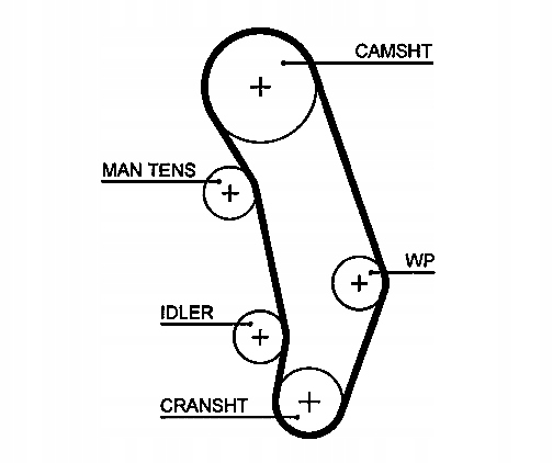 фото №10, Ремінь розподільного валу audi vw 124