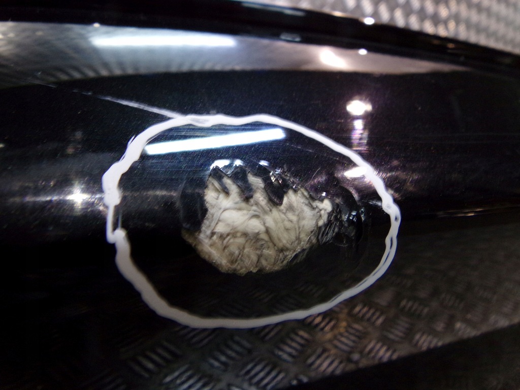 фото №9, Bmw 8 g15 m8 f92 крышка багажника задняя задняя 475