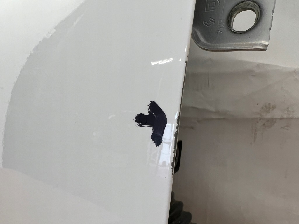 фото №9, Sandero iii двері правий перед праве передні ov369