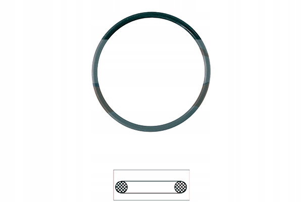 фото №2, Eps 1.890.561 прокладка, термостат