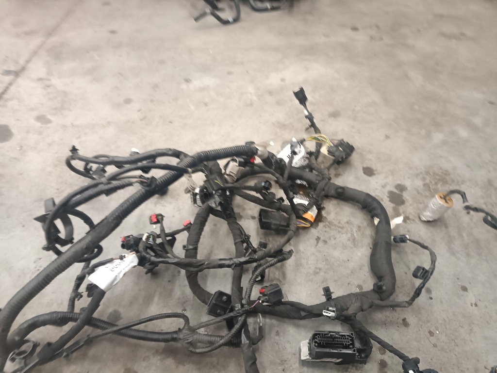 фото №5, Ford escape mk4 1.5 ecoboost жгут двигателя