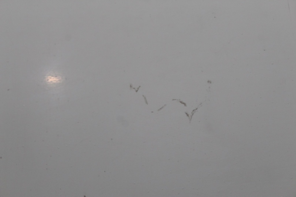 фото №8, Капот перед передня фарбована transporter t4