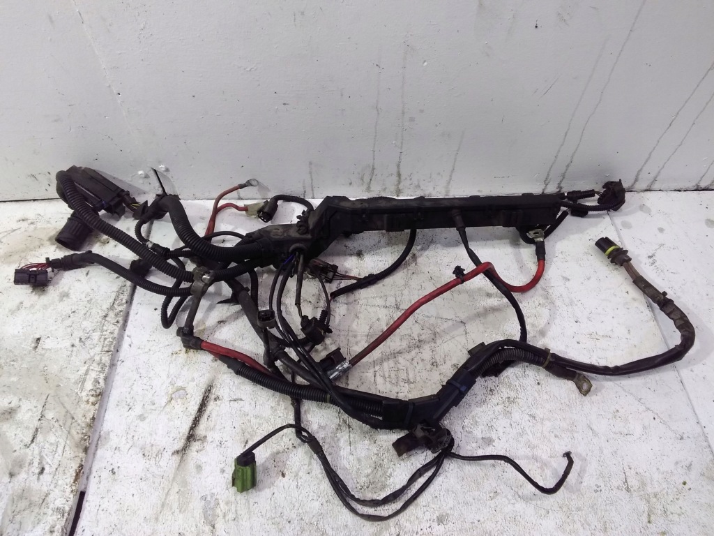 Купити Джгут двигуна mini one - cooper r50 - 53