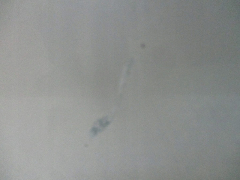 фото №6, Двері лівий задня seat leon i l57n