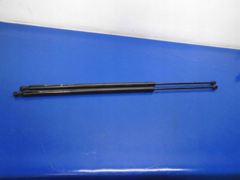 фото №1, Амортизаторы крышки задняя kpl renault kangoo ii 08-13r