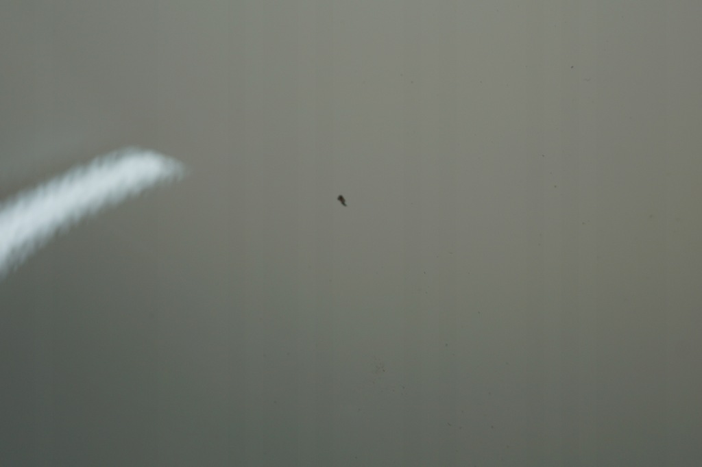 фото №10, Двері лівий перед nissan juke f15 326g