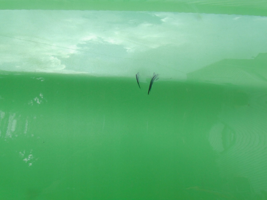 фото №9, Mitsubishi space star дверь задние