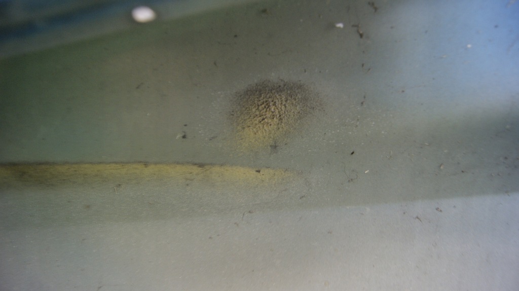 фото №8, Крила правий передній opel astra h z20n