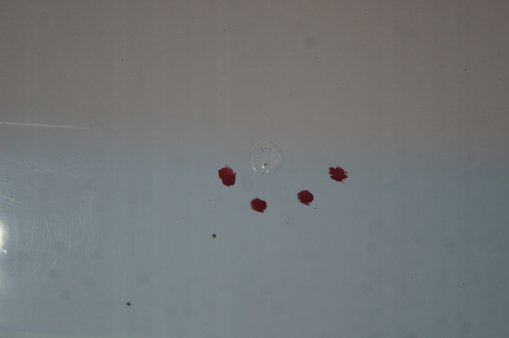 фото №9, Кришка багажника багажника jaguar f-pace 3.0 d x761 polaris white камера білий