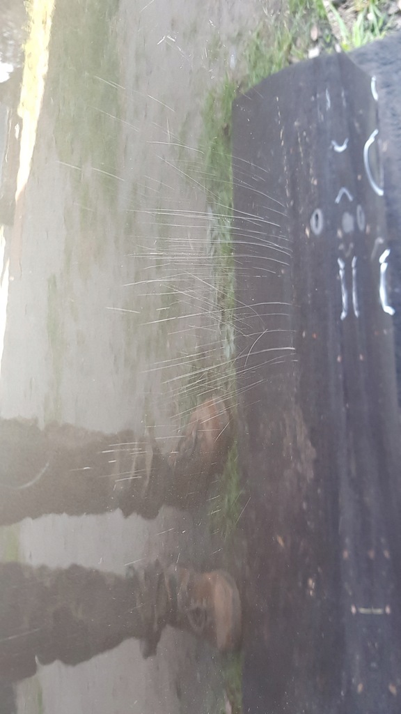 фото №8, Volvo v90 cross country двері задня праве задні