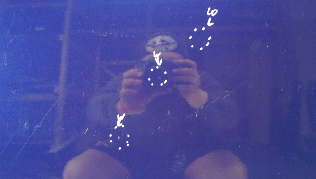 фото №6, Дверь левый перед kia pro ceed proceed