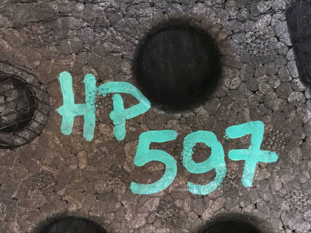 фото №9, Коврик 1739980-00-a пол защита багажника ванна kufra tesla model y 22r