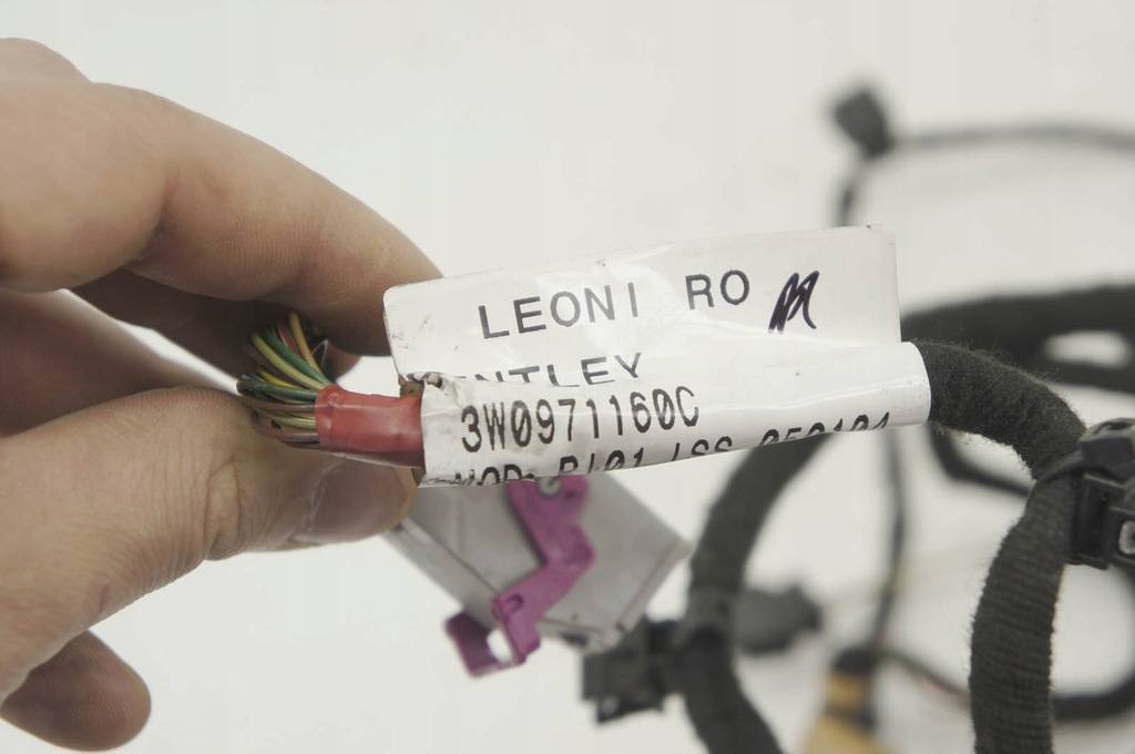 фото №6, Gs157 bentley continental gt i джгут двері права