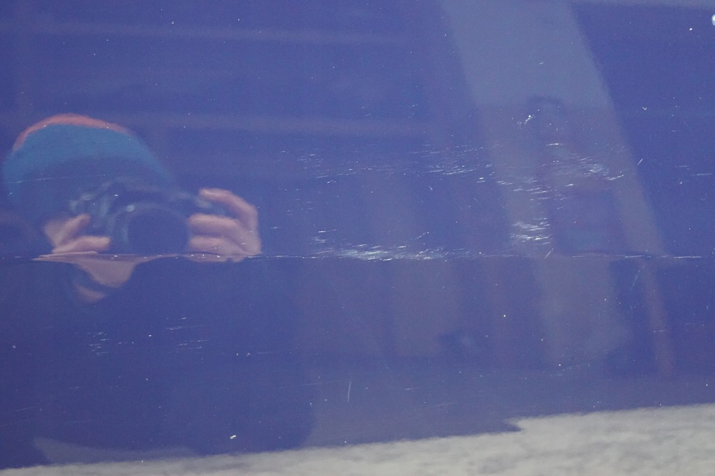 фото №11, Дверь правый перед opel corsa d 5d