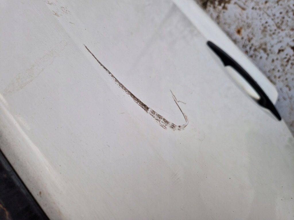 фото №8, Nissan nt500 nt 500 двері передні праве перед