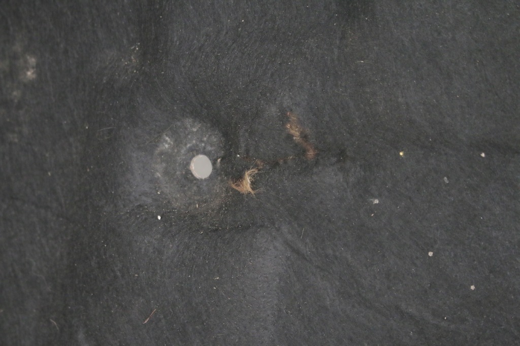 фото №4, Шумоизоляция капот range rover l322