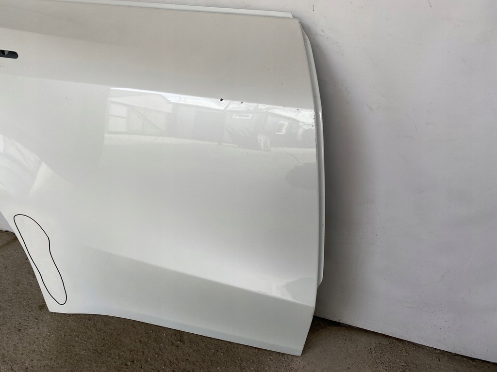 фото №9, Tesla y двері праве задні