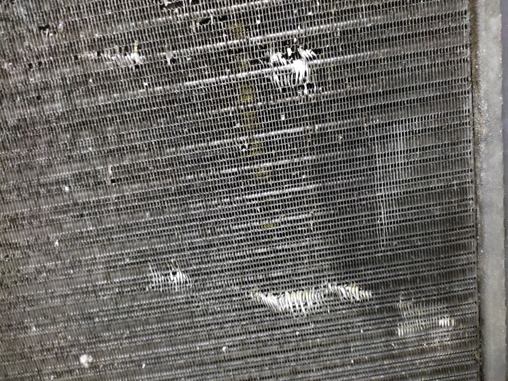 Renault megane 2 1.9 dci радіатор води 872199f Недорого