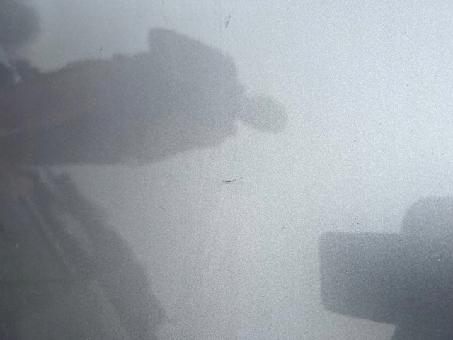 фото №11, Peugeot 5008 16- двері праве задні задня kcac