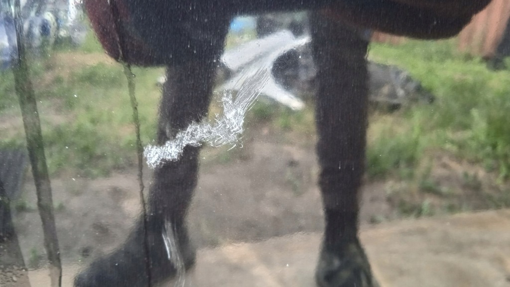 фото №11, Alfa romeo 147 двері перед правий 891/b