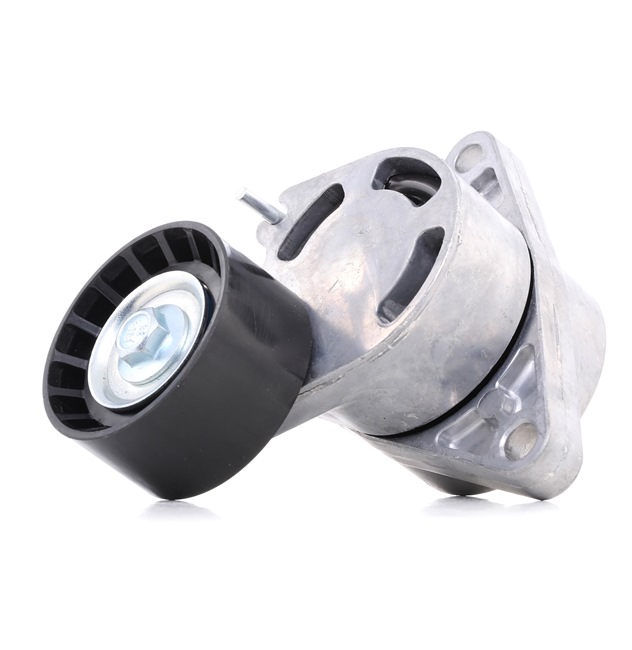 Ridex 310t0062 ролик натягувача ремінь клиновий багатореберний do volvo fmx Недорого