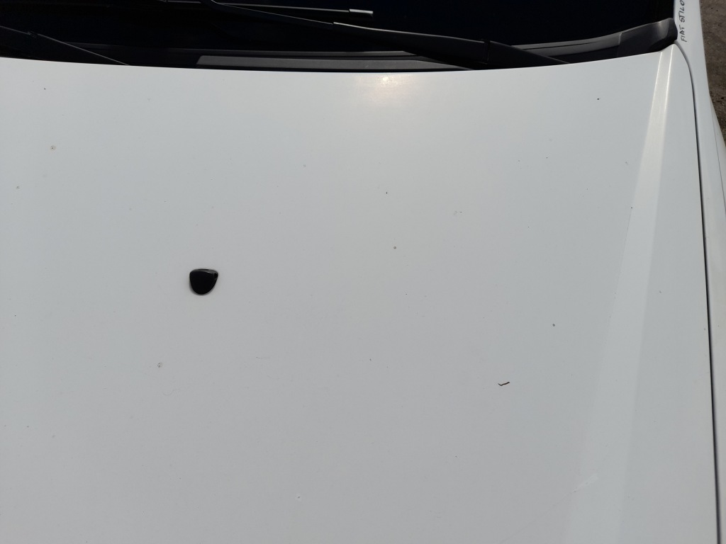 фото №8, Fiat stilo капот крышка двигателя