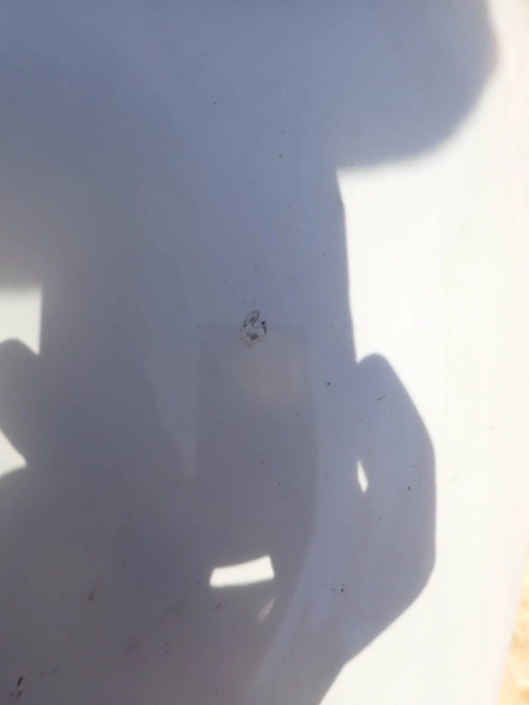 фото №6, Капот kia sportage ii wd