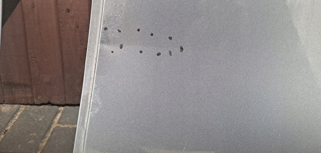 фото №7, Renault twingo iii двері задня задні ліва b.ładne версія bez накладки