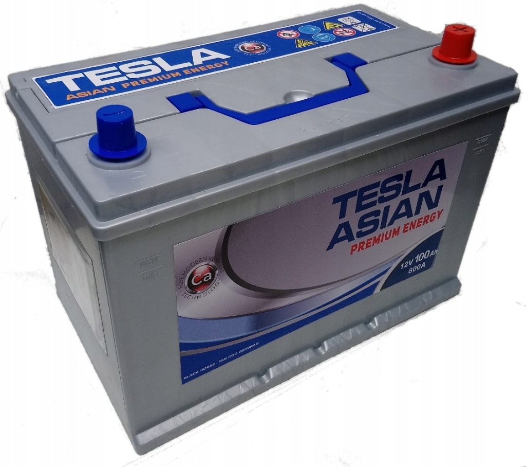 Купить Аккумулятор tesla asian 100r 100ah p+ 306 173 225mm