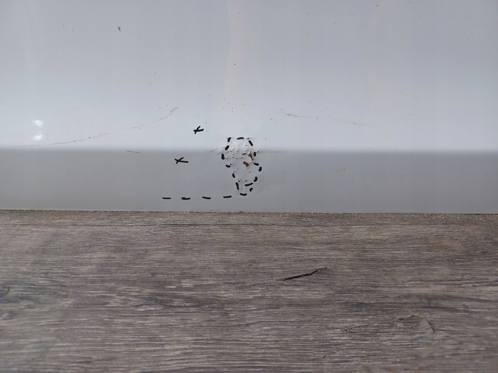 фото №13, Двері kia picanto iii od 2017- передні ліва