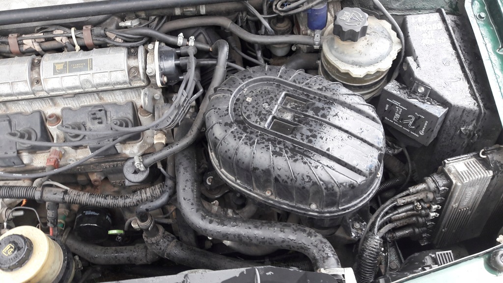 фото №16, Скло двері ліва renault 19