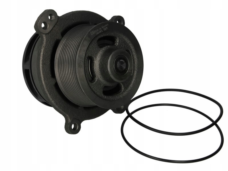 фото №1, Насос wody iveco stralis