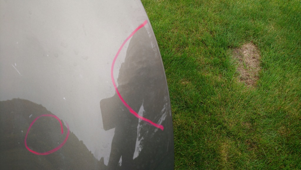 фото №5, Капот кришка двигуна toyota corolla xii 2018- corolla e21 kombi хетчбек