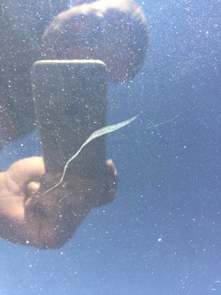 фото №9, Audi a8 d3 lz5d двері ліва передні лівий перед