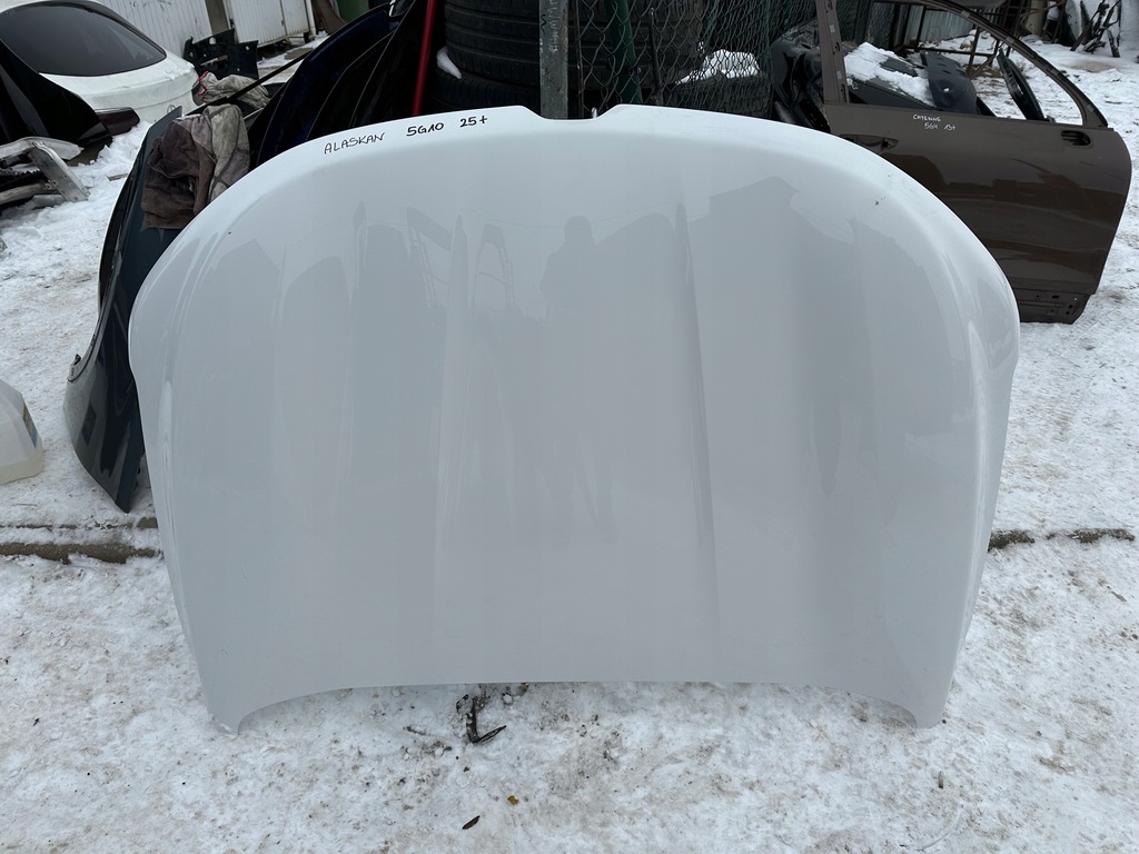 фото №1, Renault alaskan капот