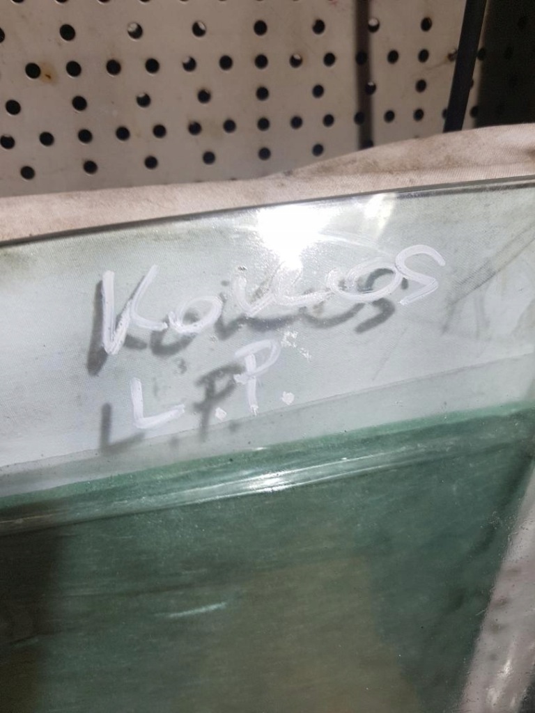 фото №4, Скло лівий перед renault koleos 2008r